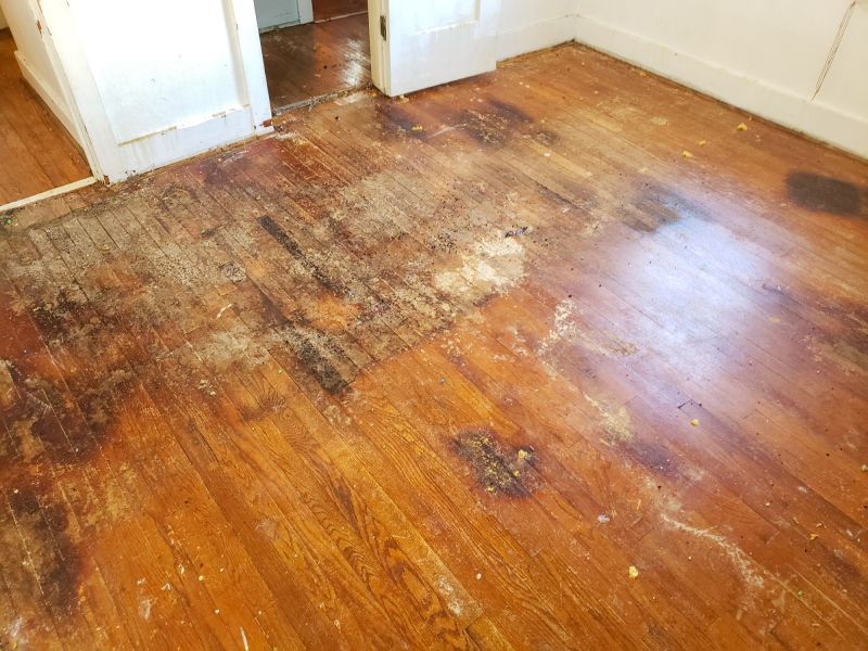 Mahogany Floor Repair