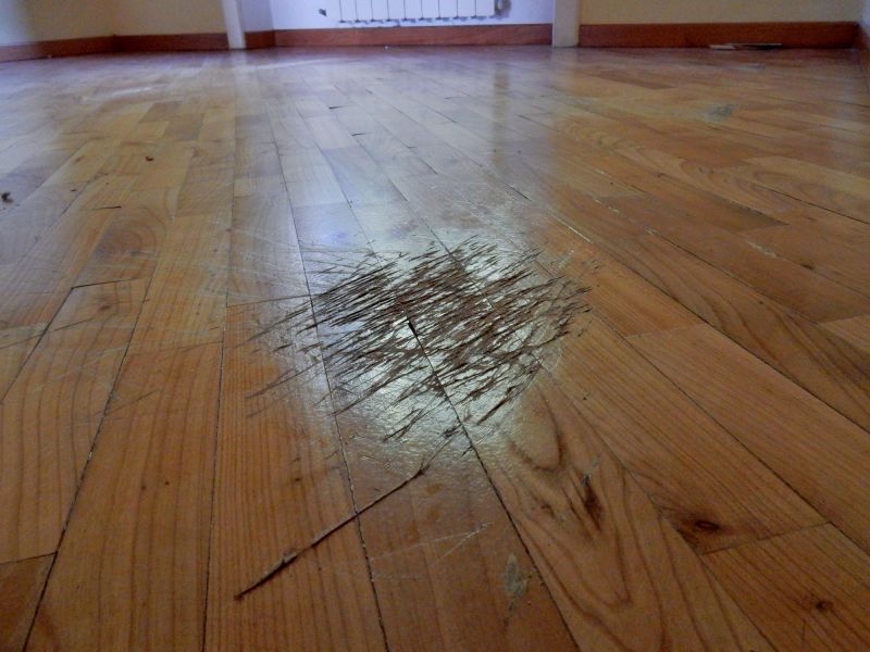 Wood Floor Repair Specialists