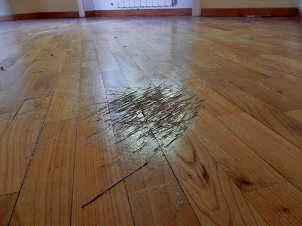 Floor Scratch Repair in Albany