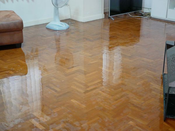 Flooded Floor Repair in Albany